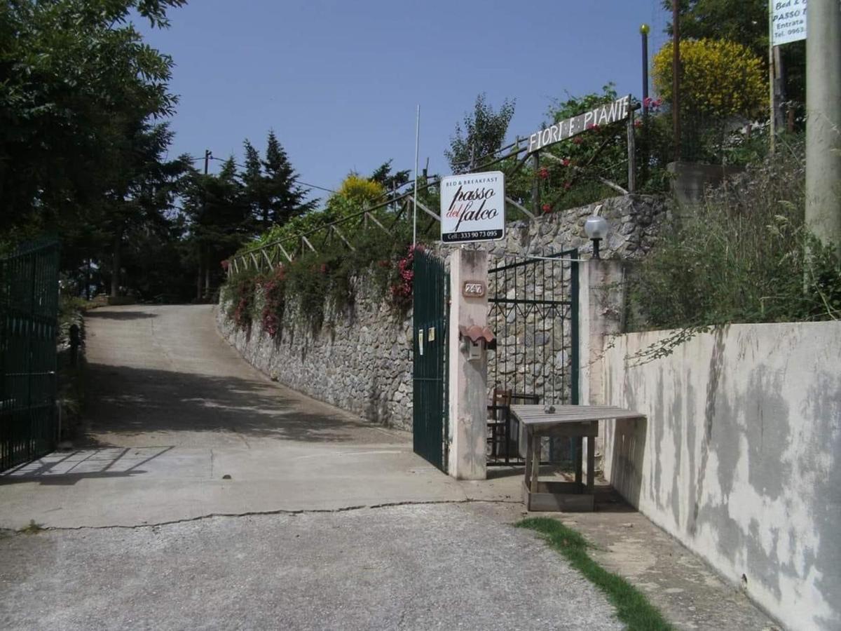 B&B Passo Del Falco Sorianello Zewnętrze zdjęcie