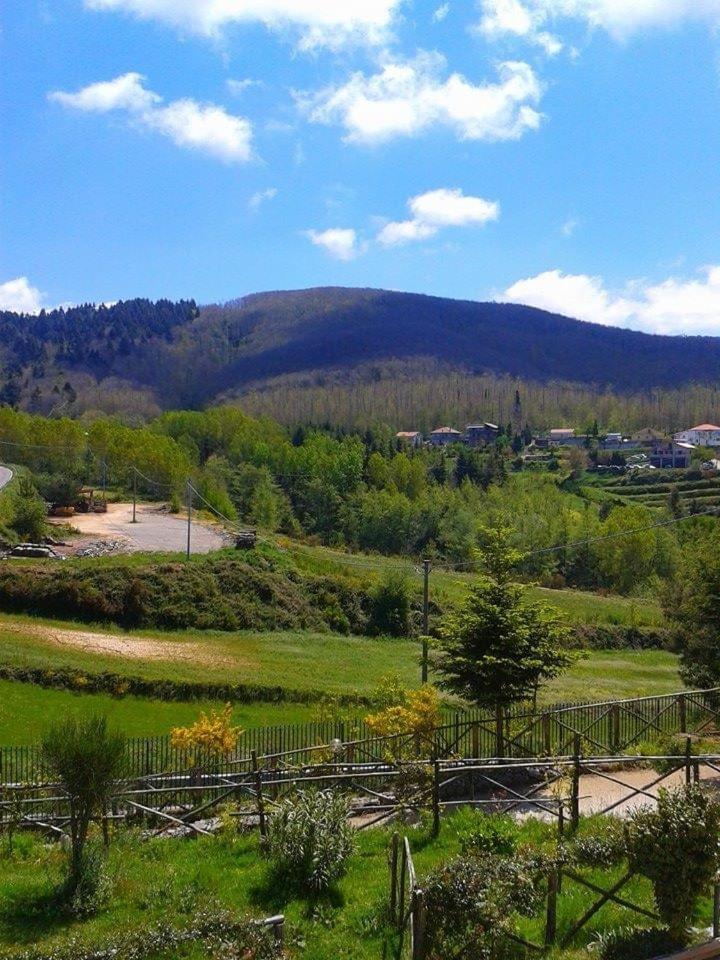 B&B Passo Del Falco Sorianello Zewnętrze zdjęcie