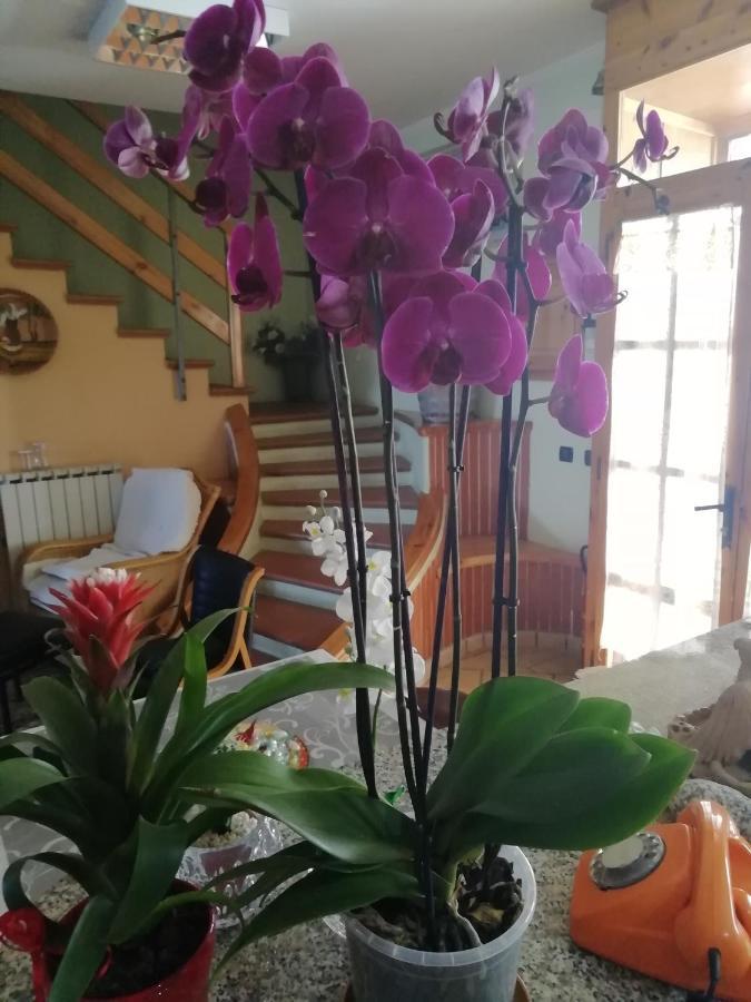 B&B Passo Del Falco Sorianello Zewnętrze zdjęcie