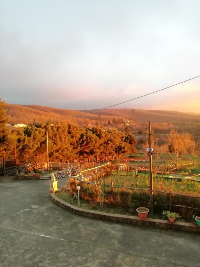 B&B Passo Del Falco Sorianello Zewnętrze zdjęcie