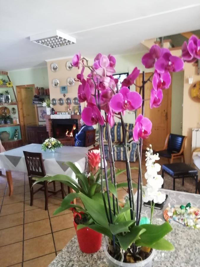B&B Passo Del Falco Sorianello Zewnętrze zdjęcie