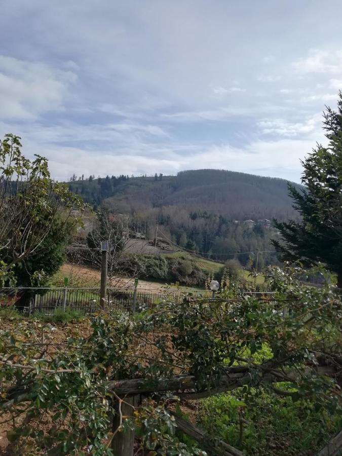 B&B Passo Del Falco Sorianello Zewnętrze zdjęcie